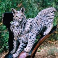 Two_Bobcats_on_Tree