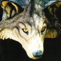 Wolf_head