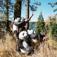 favpanda